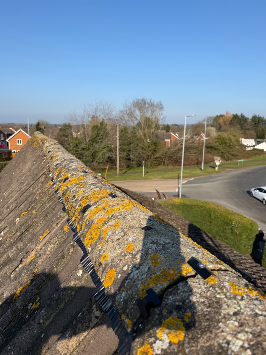 Roofer: Image 7